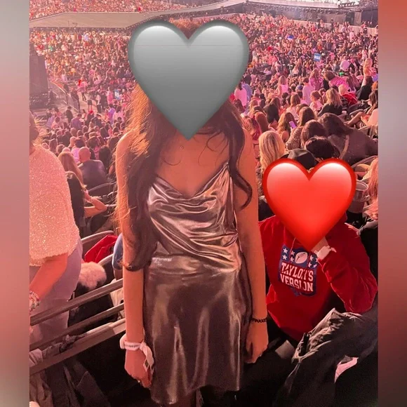 Silver Dress - Picture 5 of 6